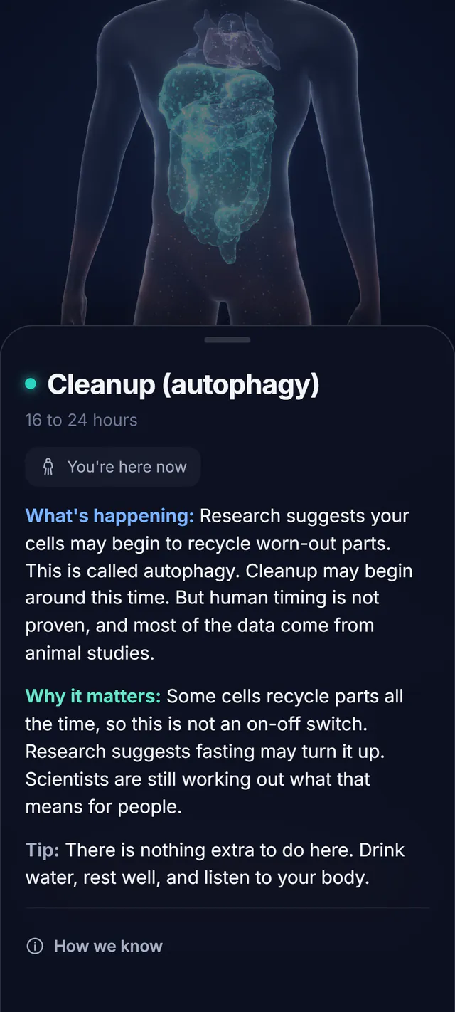 The Cleanup zone card in FastWithin: the 3D body with a teal spiral, and the line Research suggests your cells may begin to recycle worn-out parts.